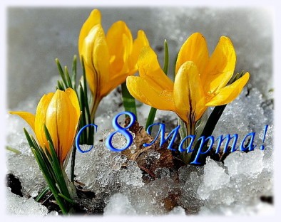 Милые женщины! Поздравляем Вас с праздником весны, с 8 марта!
