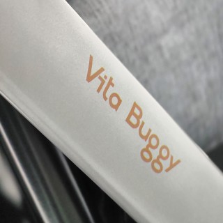 Детская инвалидная коляска Vita Buggy 7900 NEW для детей с ДЦП