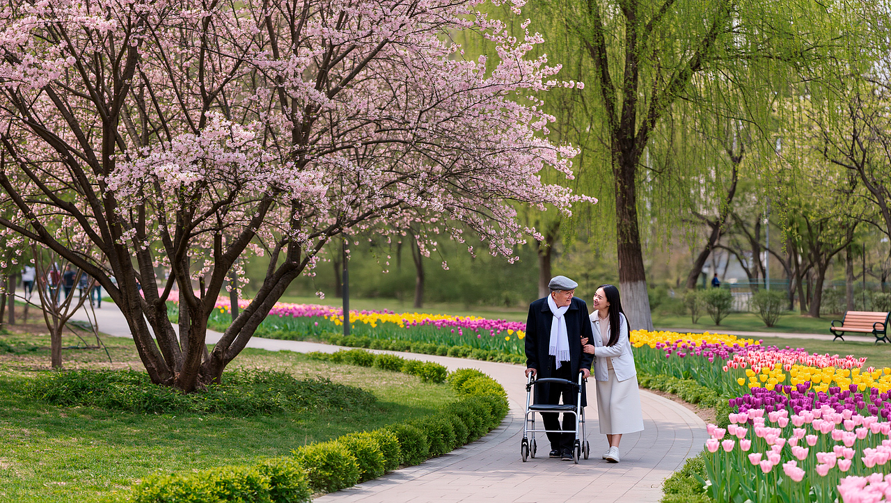 Ходунки роллаторы для пожилых людей