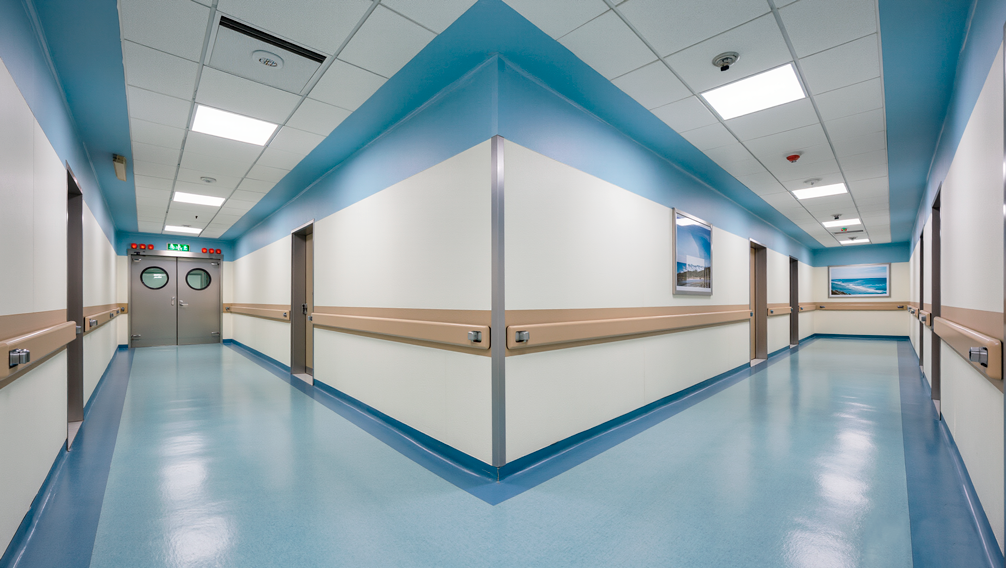 Стеновые отбойники в больнице