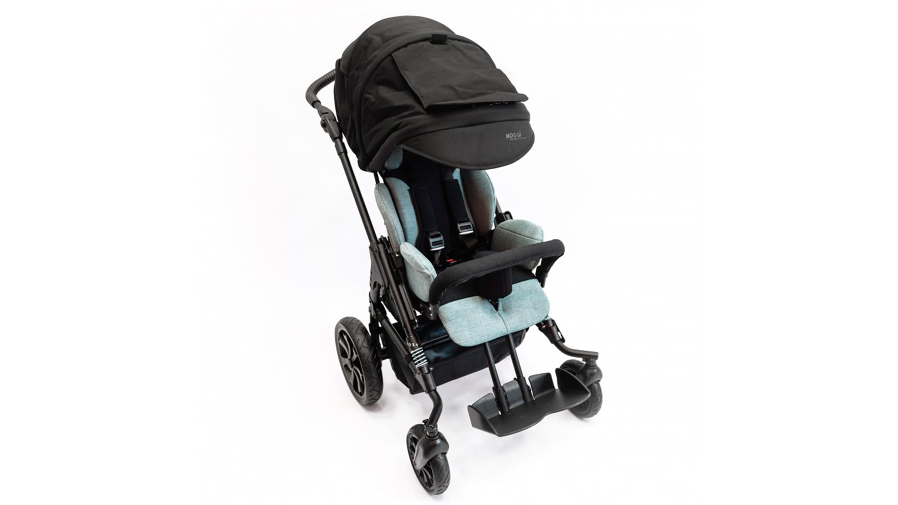 HOGGI Bingo Evolution