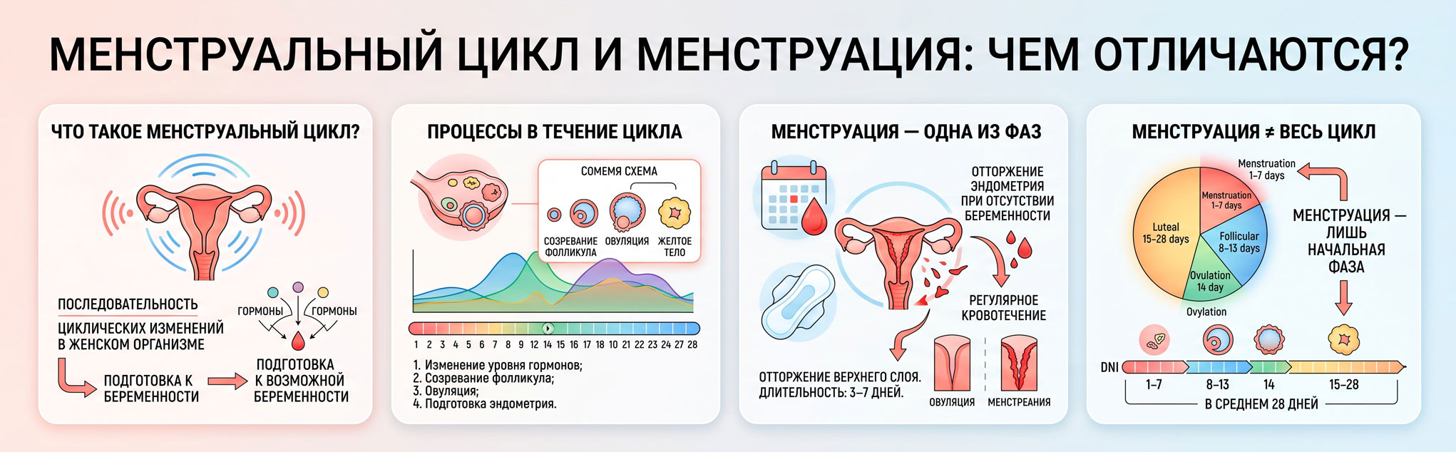 расчет менструального цикла