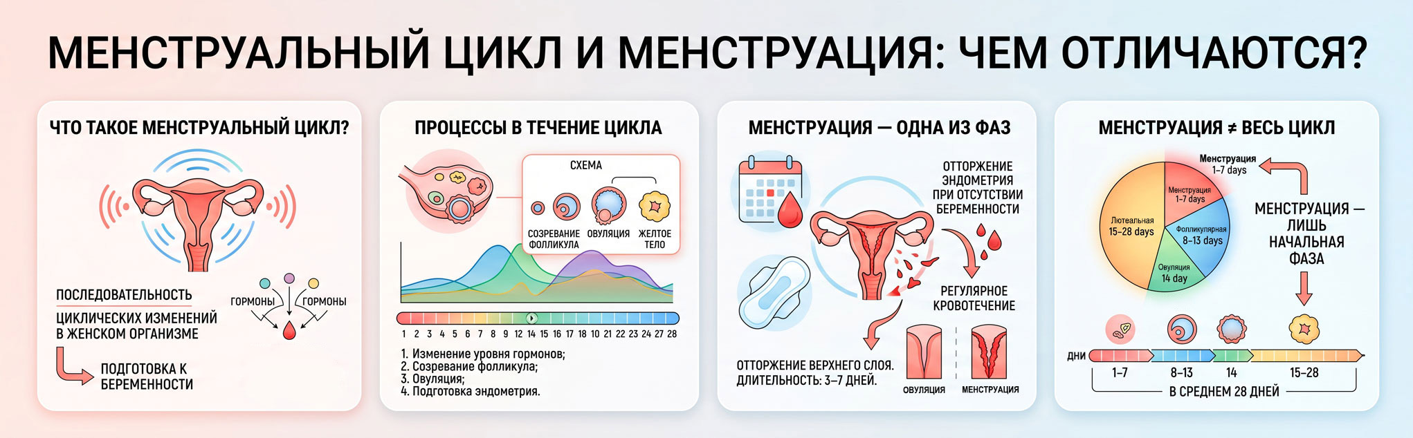 расчет менструального цикла