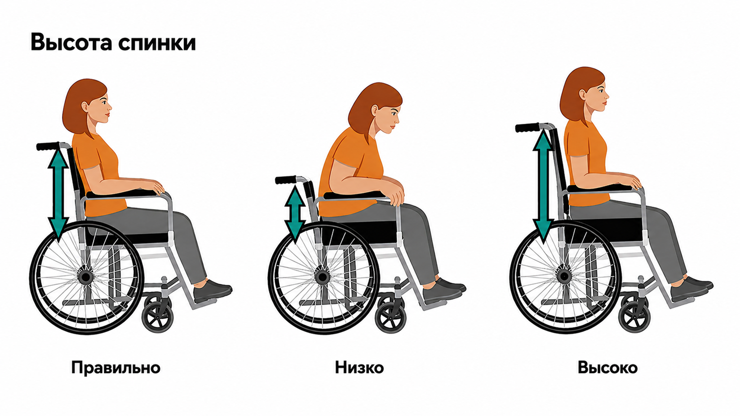 Высота спинки инвалидной коляски